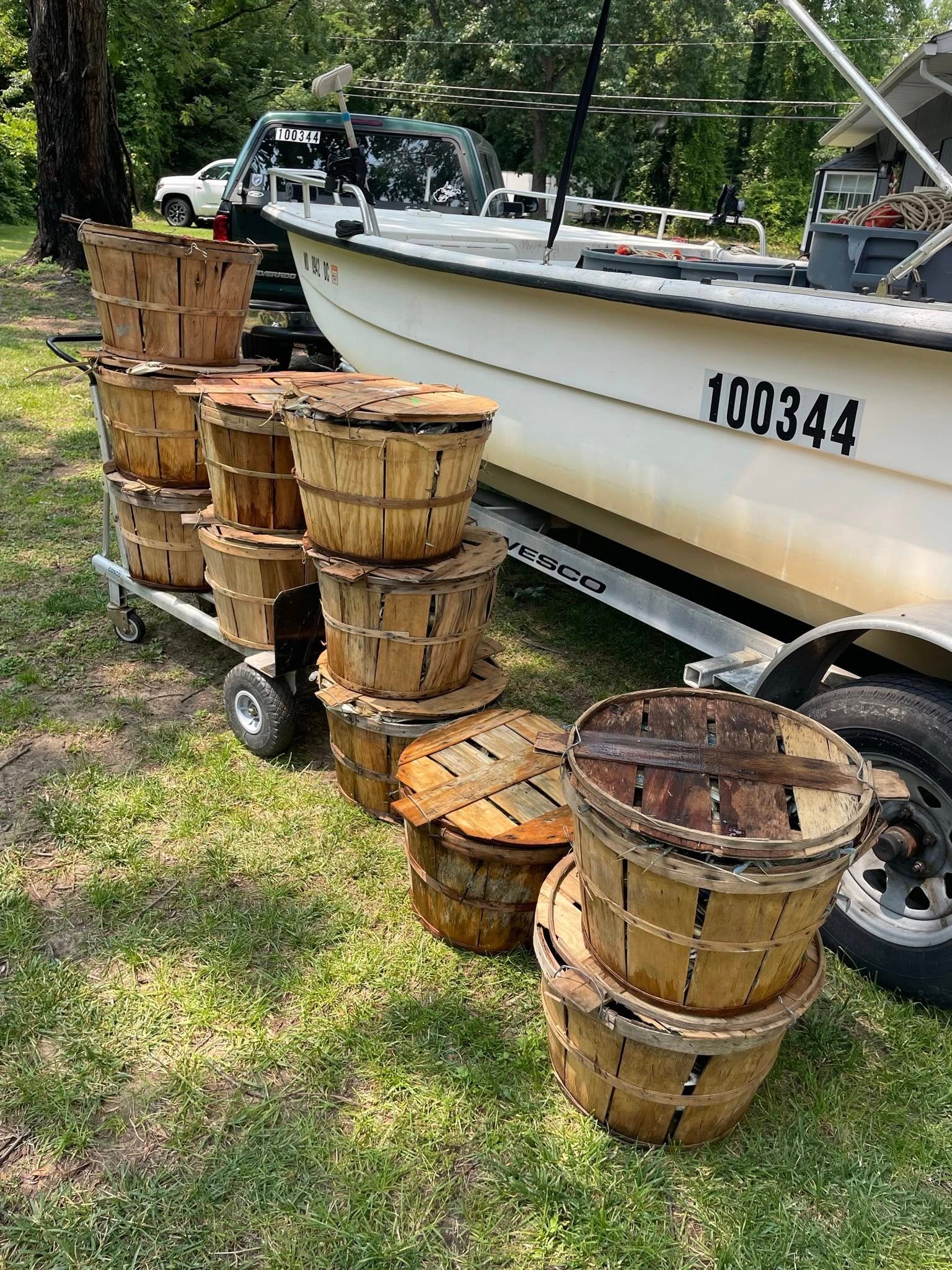 Maryland Crabs