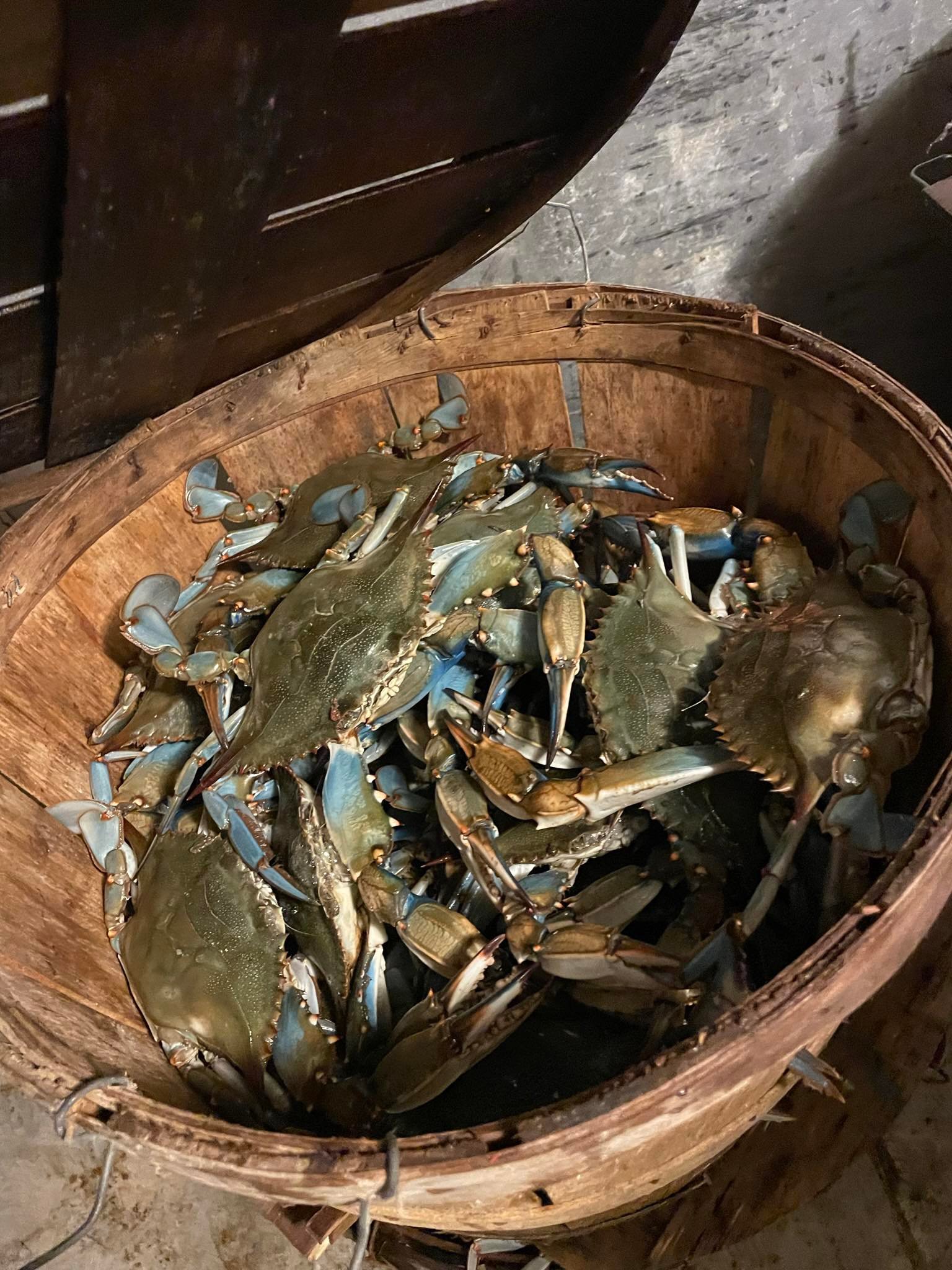 Bushel crabs near Glen Burnie MD