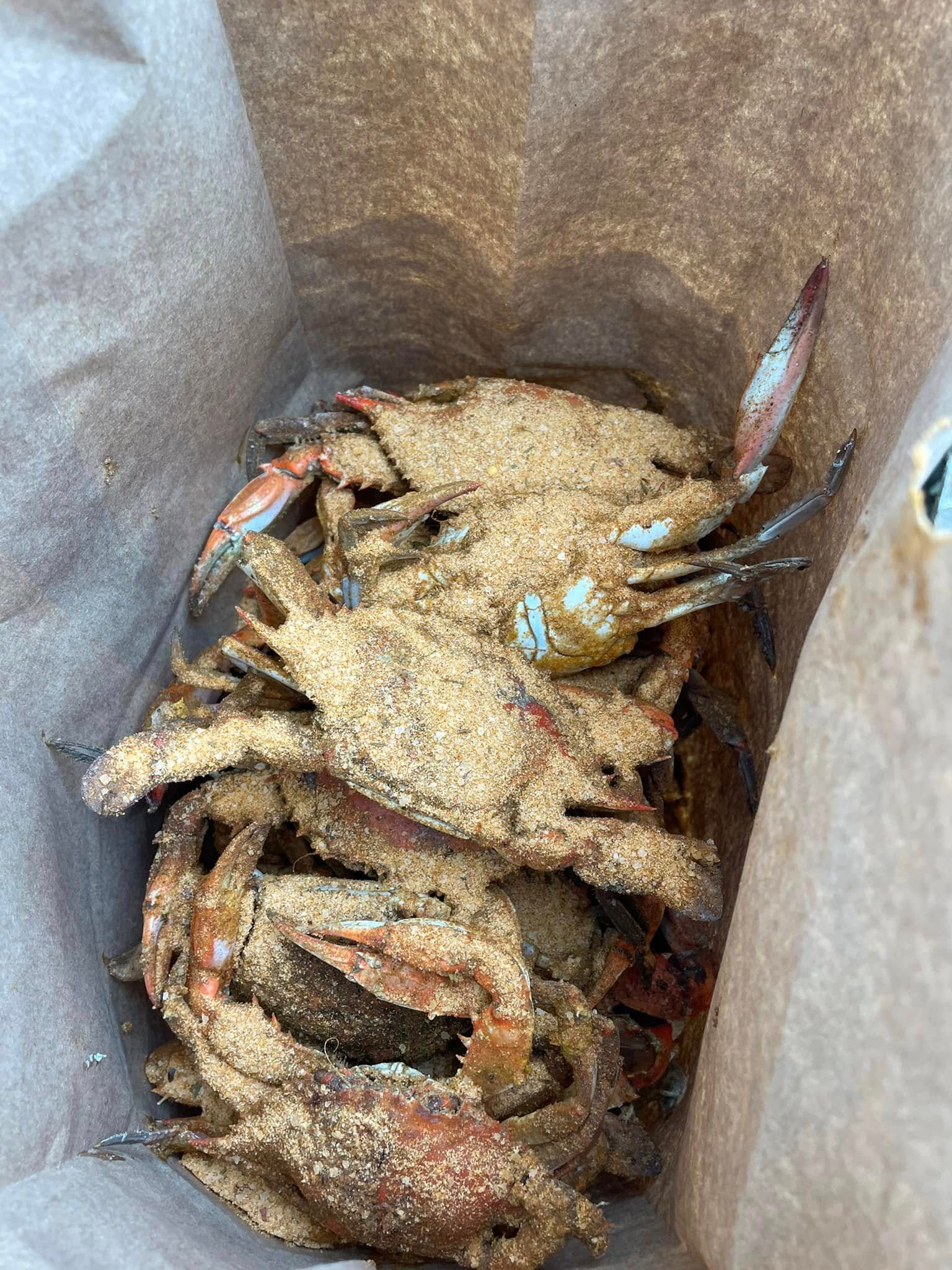 Maryland Crabs