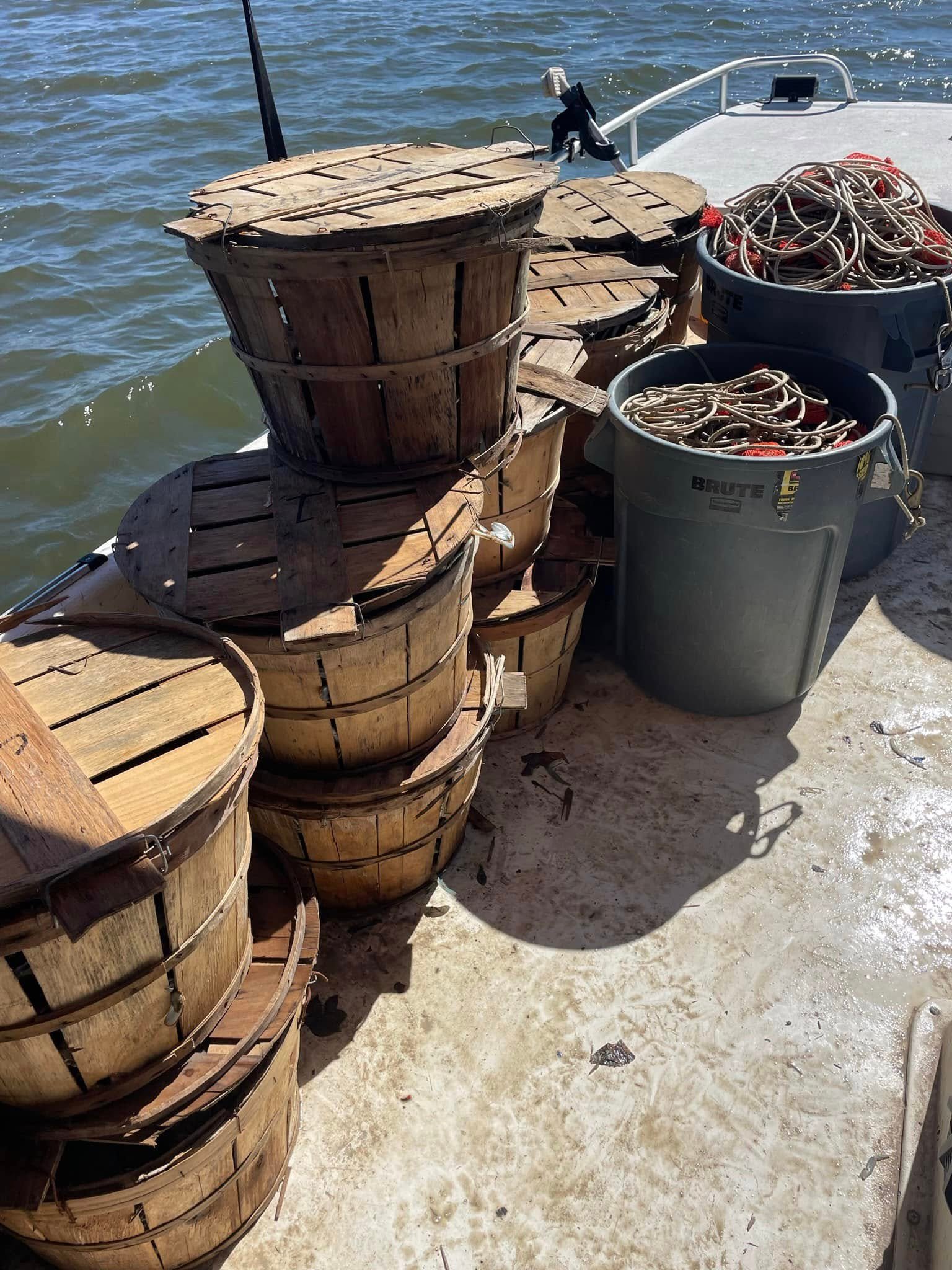 Maryland Crabs