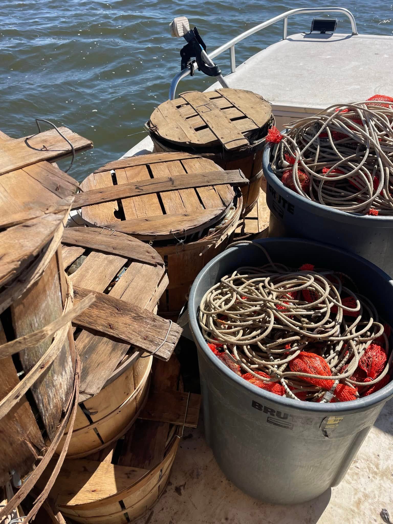 Maryland Crabs