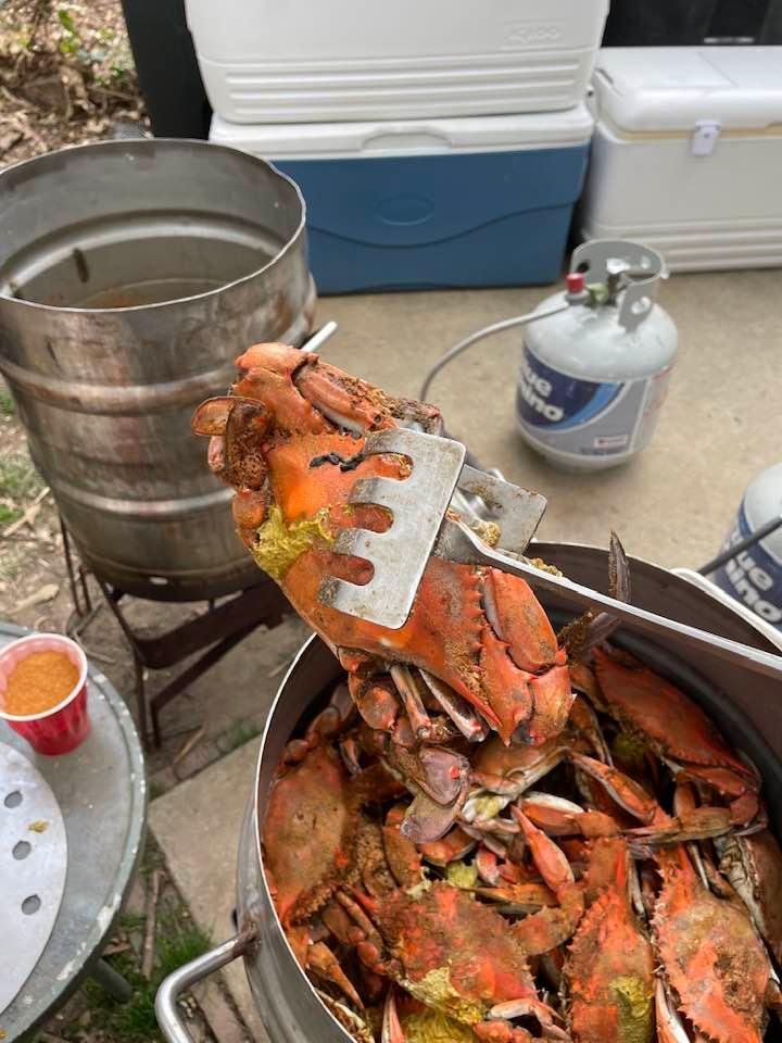 Steamed crabs Gambrills MD Cooper's